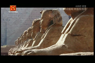 110F994C4D0FFAAE33DE20