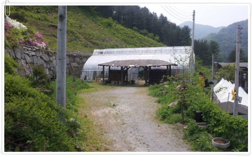 [남양주 가볼만한 곳] "산촌꽃마루" 캠핑장과 야생화 가득 핀 하늘 정원이 아름다운 곳