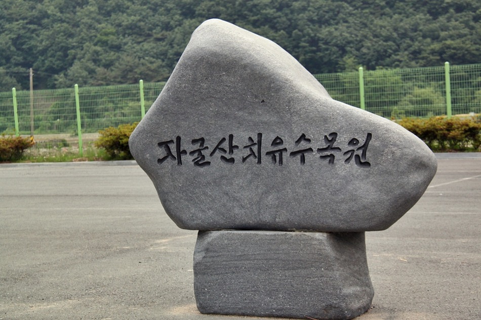 자굴산치유수목원 이미지