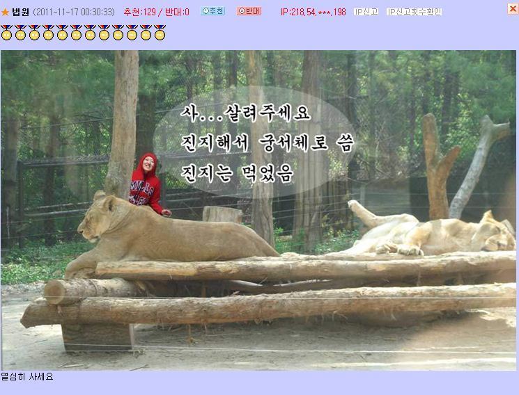 뒤에 우주그림좀 합성좀 해주세요.jpg | 인스티즈