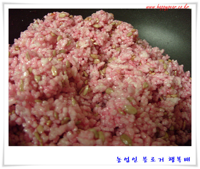 천년초가  어떤 것인가 호기심에 ~~  *^^*