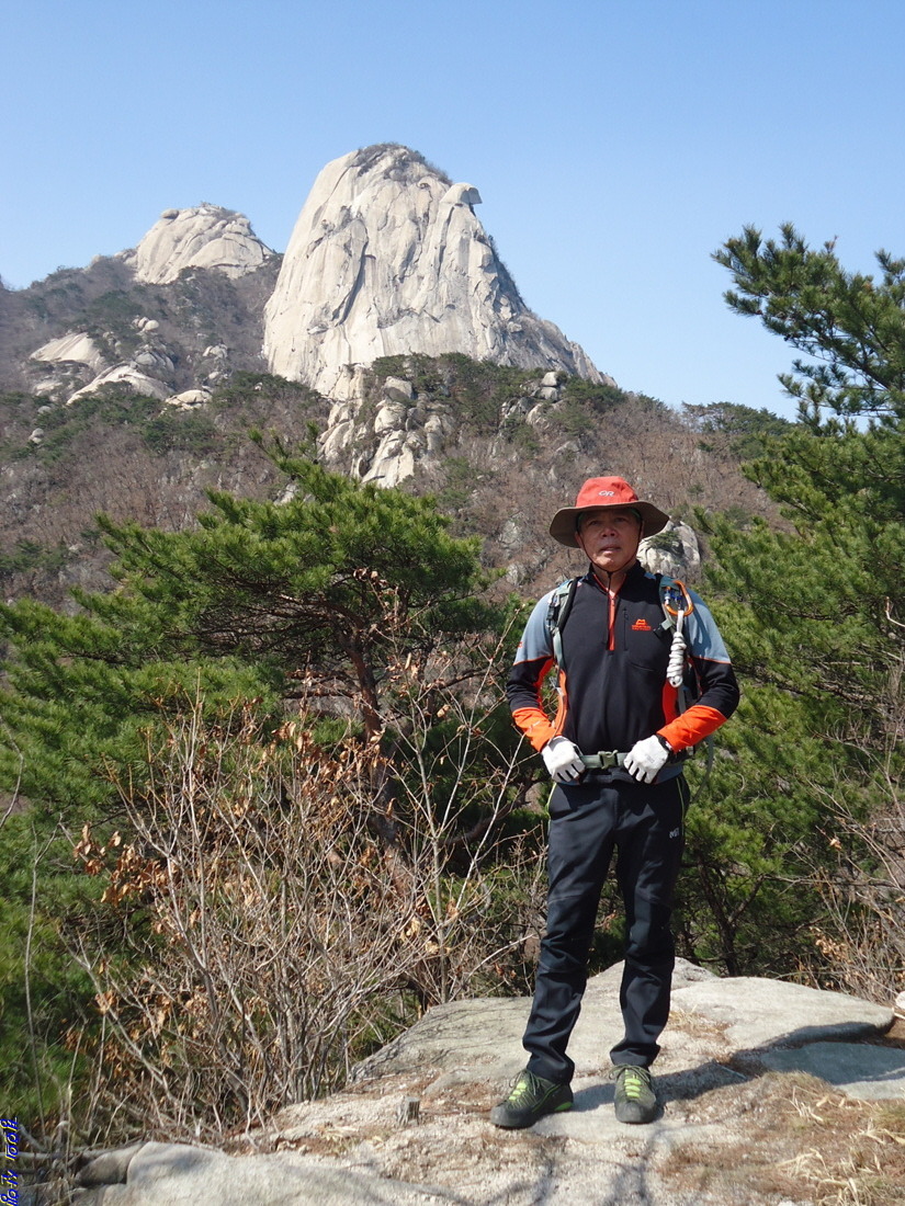 곰바우 이미지