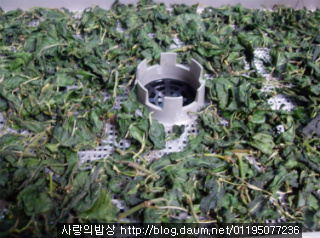 고추잎 무 말랭이 무침