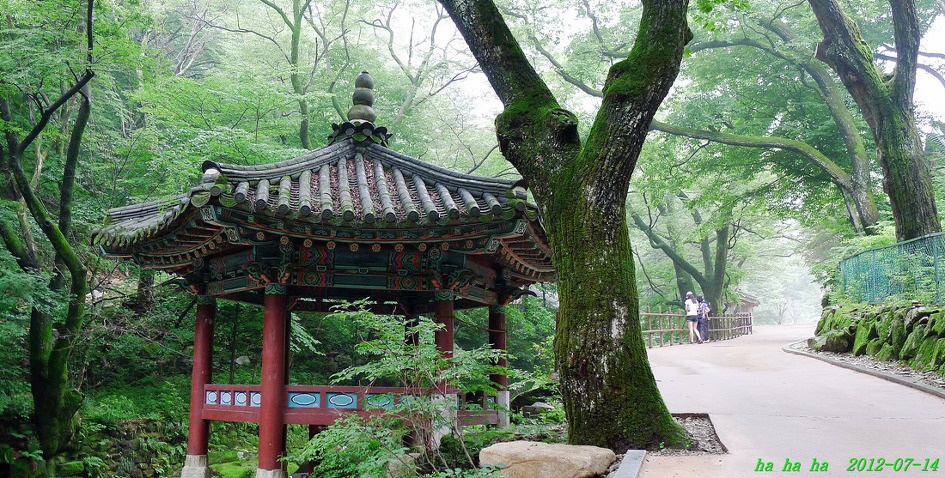 심우 이미지
