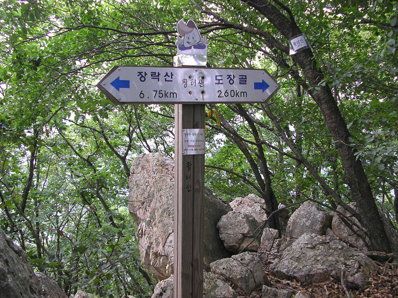 왕터산 정상 이미지