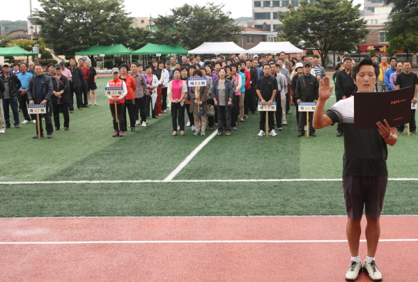 양양초등학교 이미지
