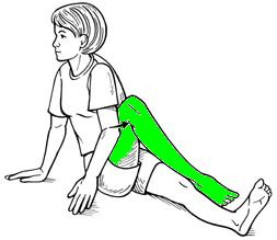 무릎연골 강화법 