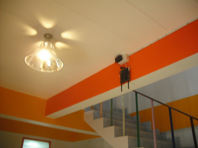 1253344F4F5F4C5C399853