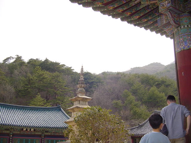 <236>상운산 1114  미터     2003. 3. 20