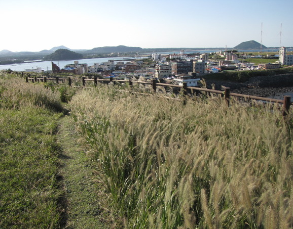 イメージ全体表示