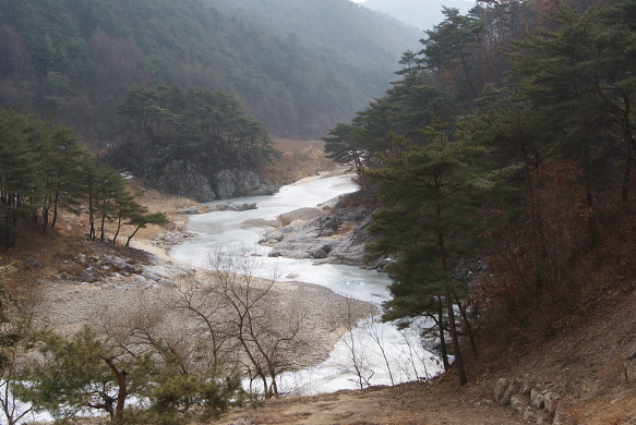 사미정계곡펜션 이미지