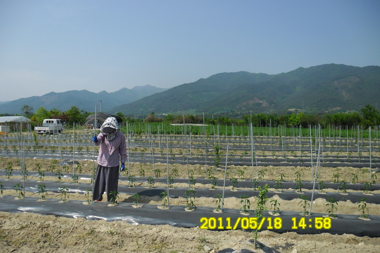지리산농장 이미지