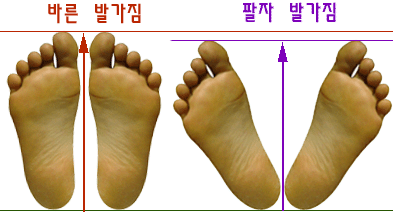 엠에스존 이미지