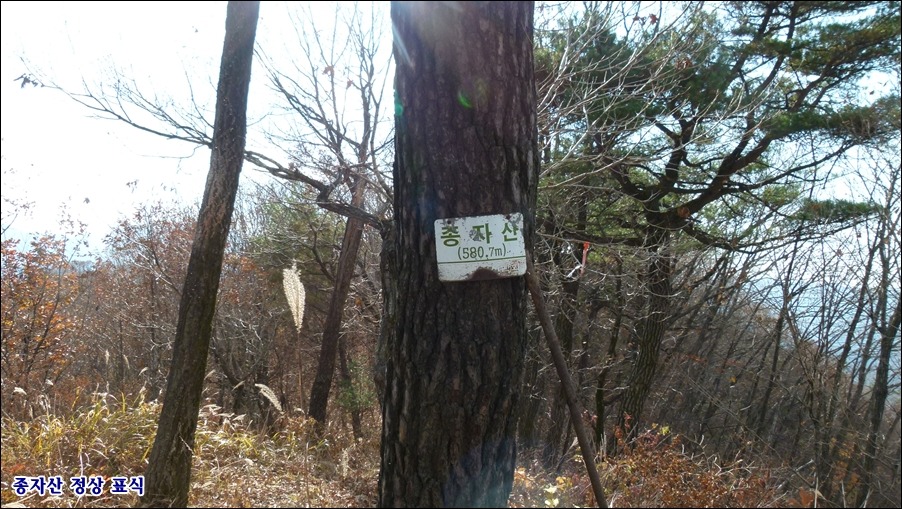 종자산(홍천,양평)