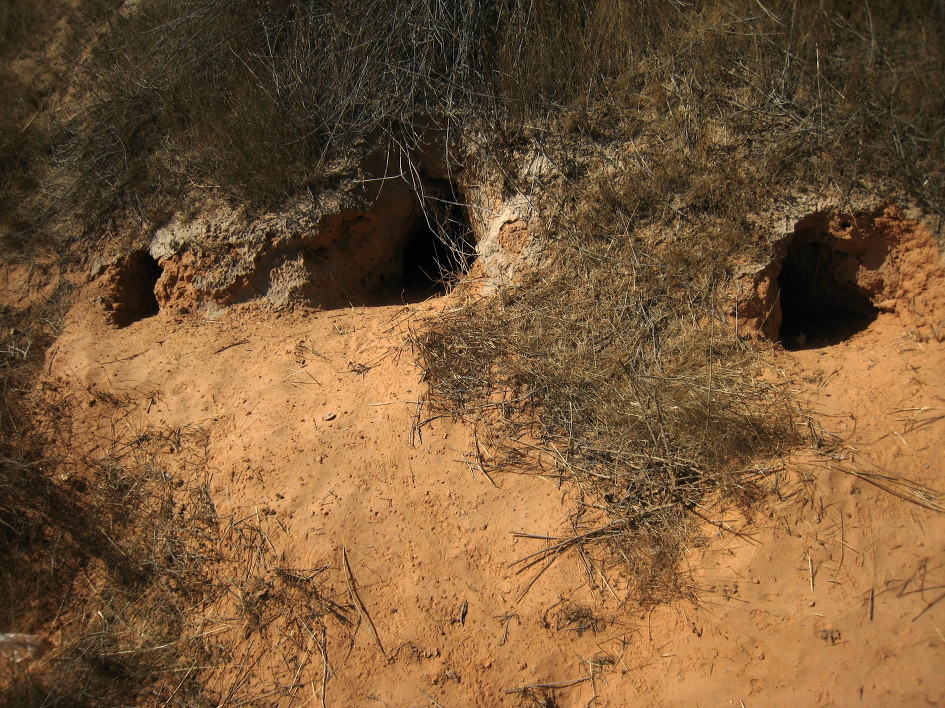 자동차 타이어 파열