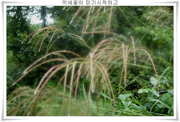 136F194E5039EFB02EC9CB