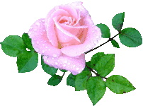 13713C044BCD10BE63F6C9