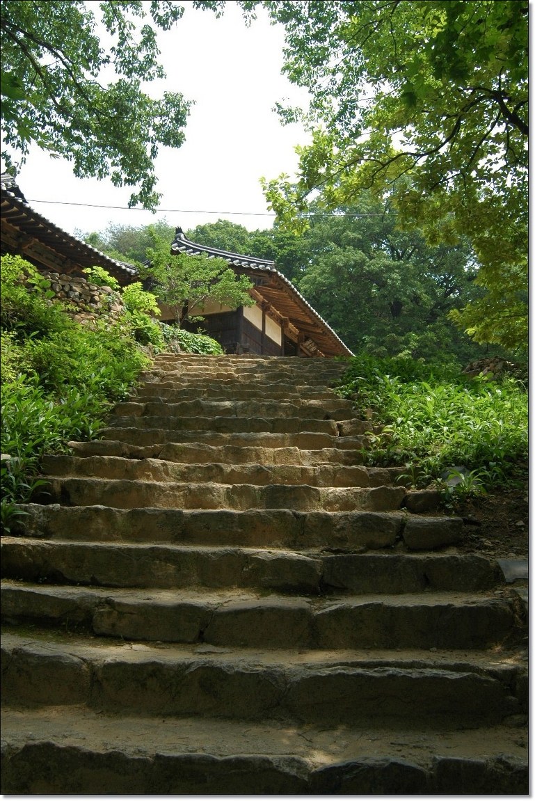 채움의 미학 이미지