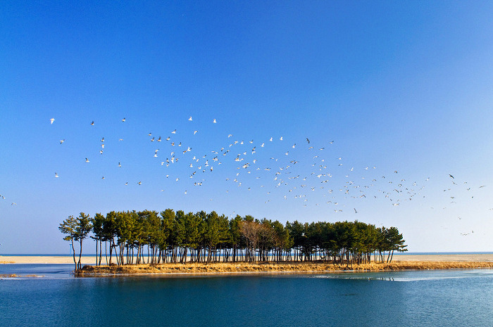 137E9E424FD52C79205A79