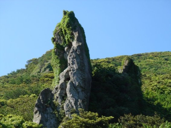 강산 이미지