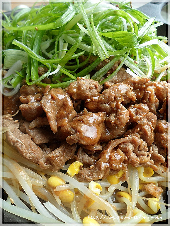 콩불 이미지