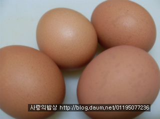 박물관뜨락,계절의여왕 강림하다! 숙녀의 화려한도시락 >_