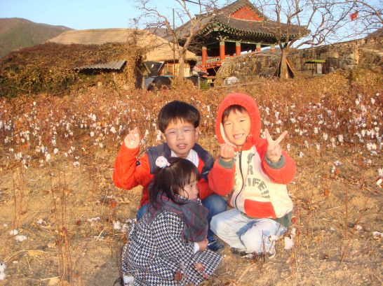 낙안양식 이미지