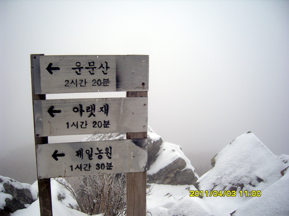 영천상회카페 이미지