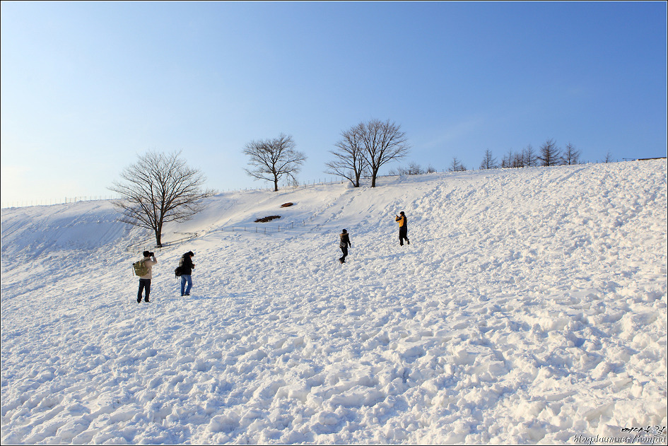Snow Frolic(눈장난)-러브스토리OST