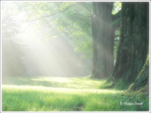 1542721C49B059391BFC1A