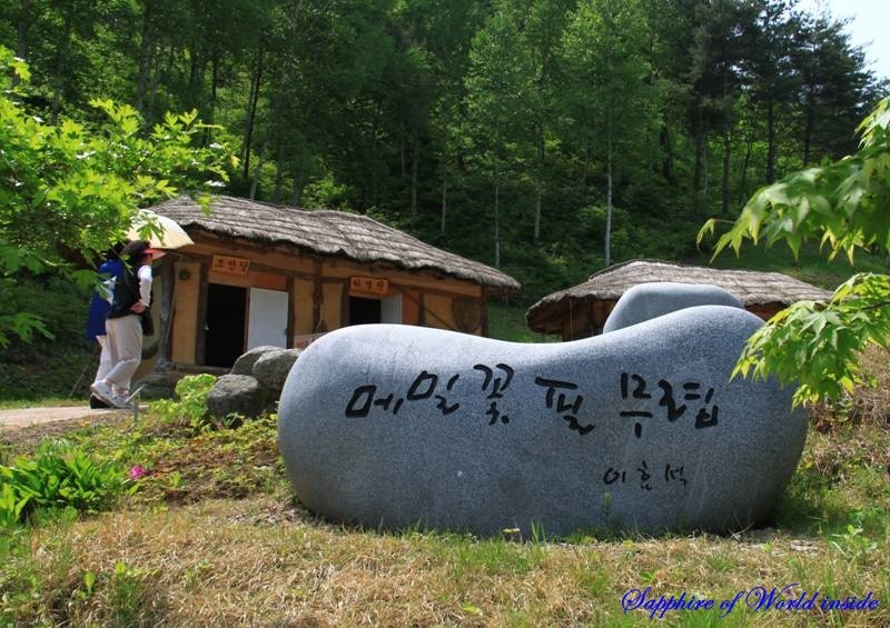 자연의향기 이미지