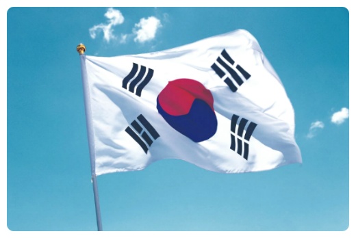 어떤 기준도 없이 맹목적으로 투표하는 이에게 투표권을 줘야할까요 | 인스티즈