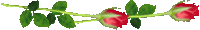 15715B4E4D57C23D2896DE