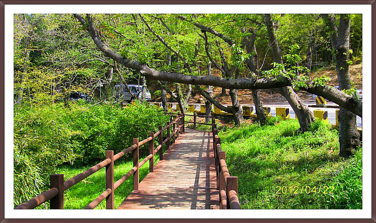 15769D3B4FB462691EACC7