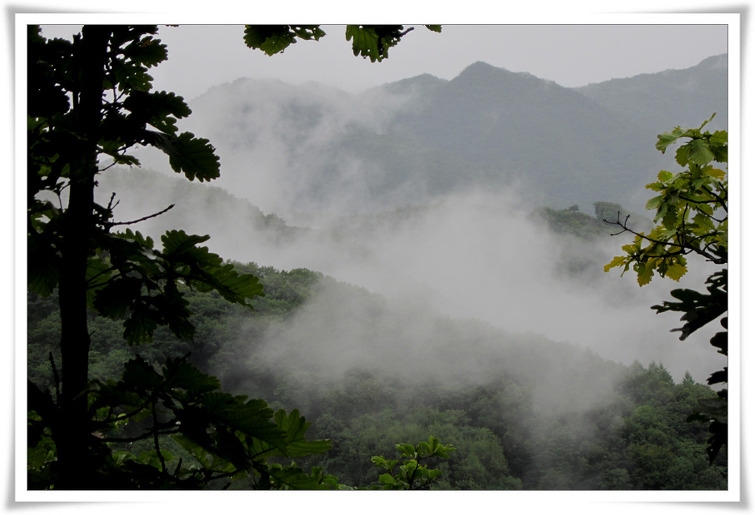 160AEE485039EF5F09B0C3