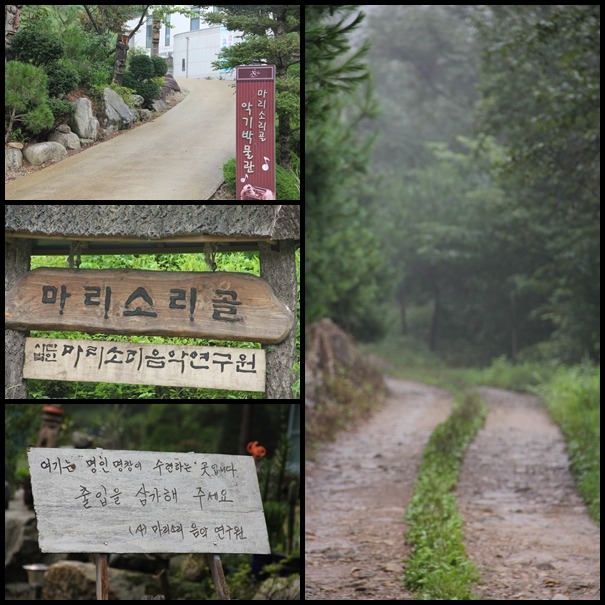 마리악기 이미지