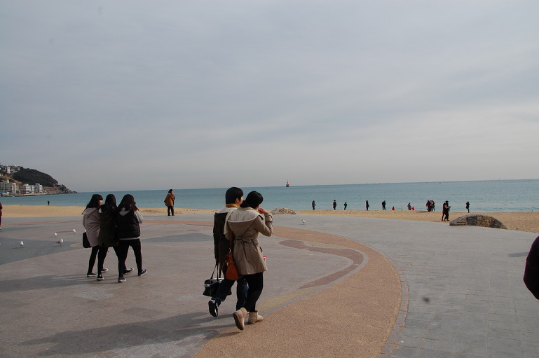 금수복국 해운대 본점  (부산 여행중에)