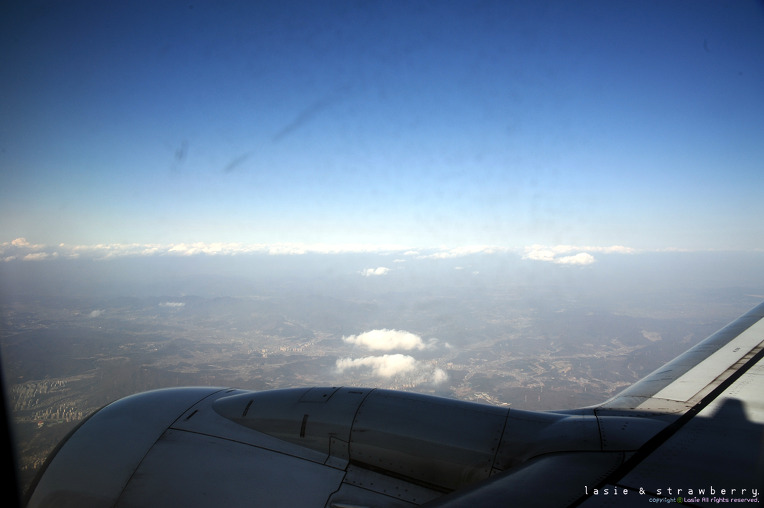 갑작스럽게 다녀온 버라이어티한 봄날의 제주도 데이트 (남자랑..ㅋ) 