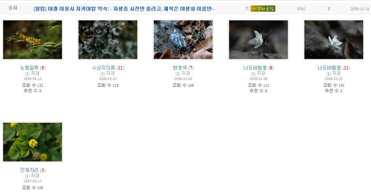 ~2010년 야생화클럽 사진게시
