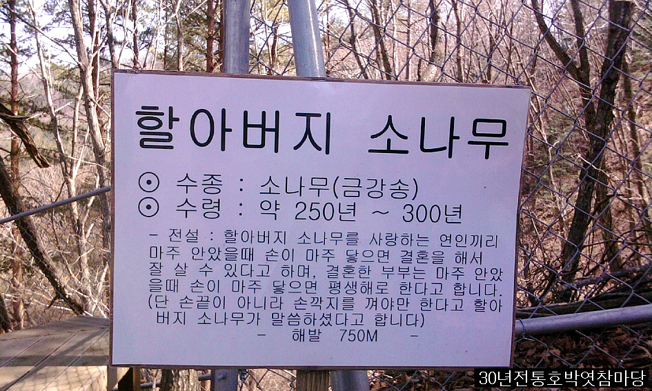 약초향기 이미지