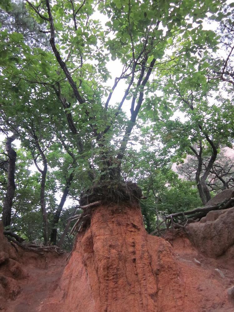 그로발 이미지