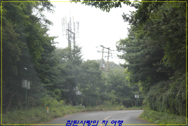 백년찻집 이미지