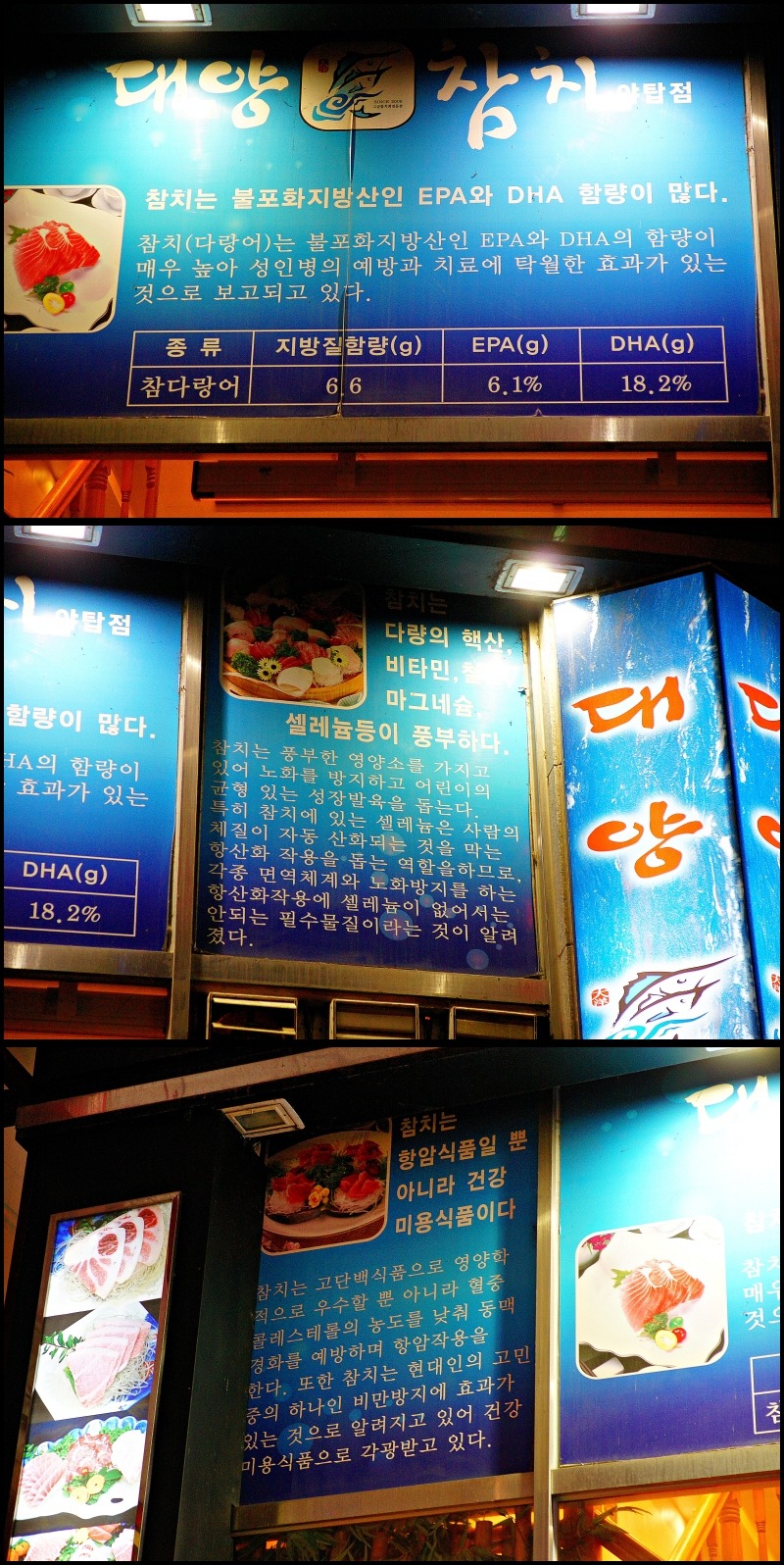 대양참치 이미지
