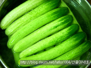 입에 불나는 매운 맛을 잠재워줄 시원한 오이지냉국!!~