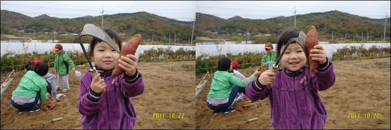165664474EA631CD315FF2