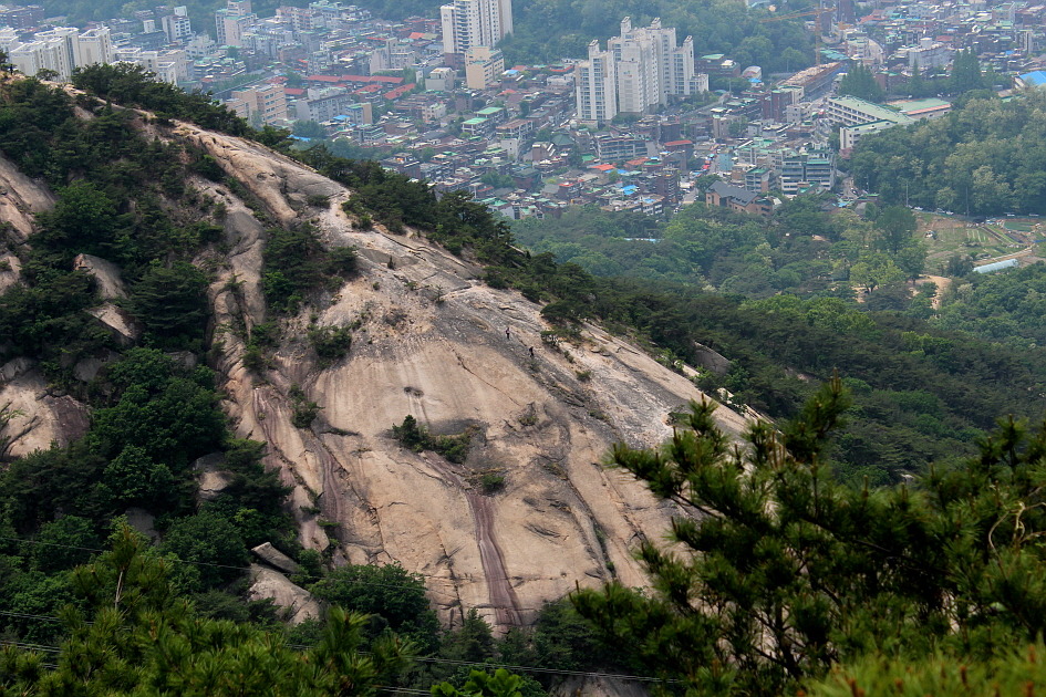 선림 이미지
