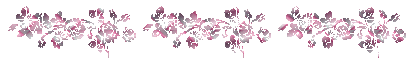 1713DB4B4F649F0926DEDB