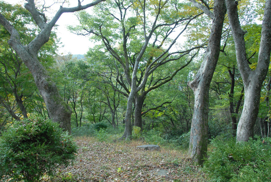 계룡산 갑사