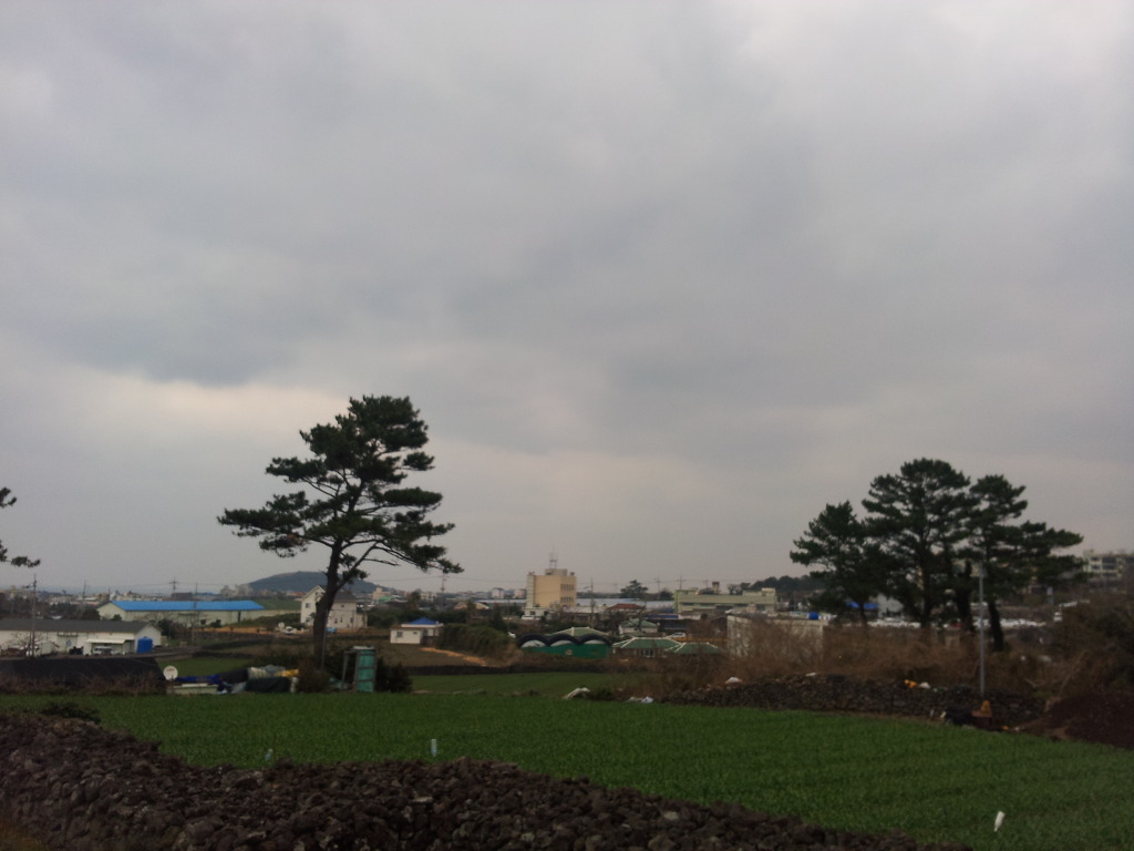 제주도는 황금의 땅이다. 