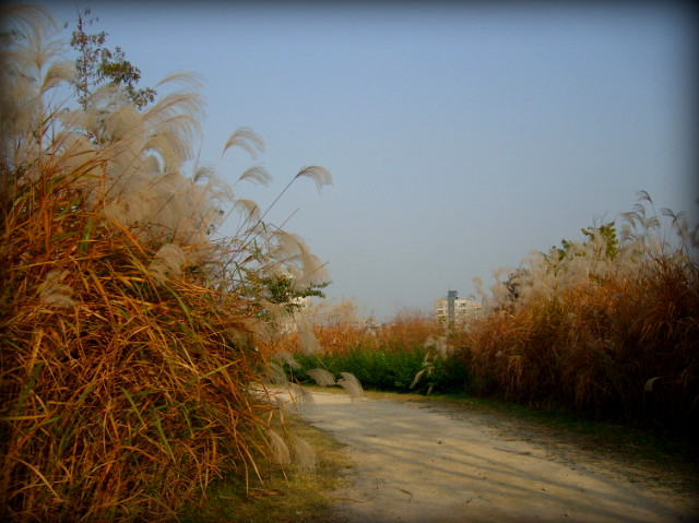 1775451B4AEABC096A590E